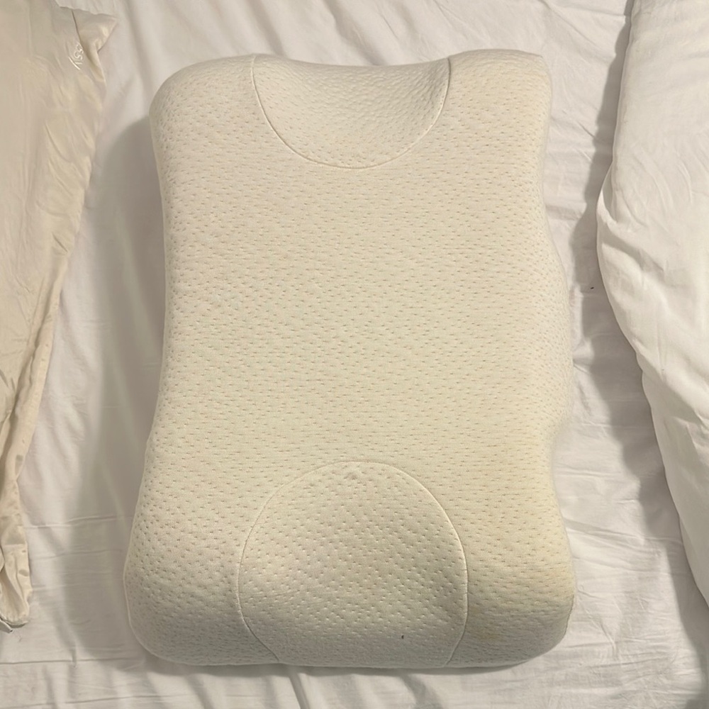 Beauty Pillow with Skin and Pillow case